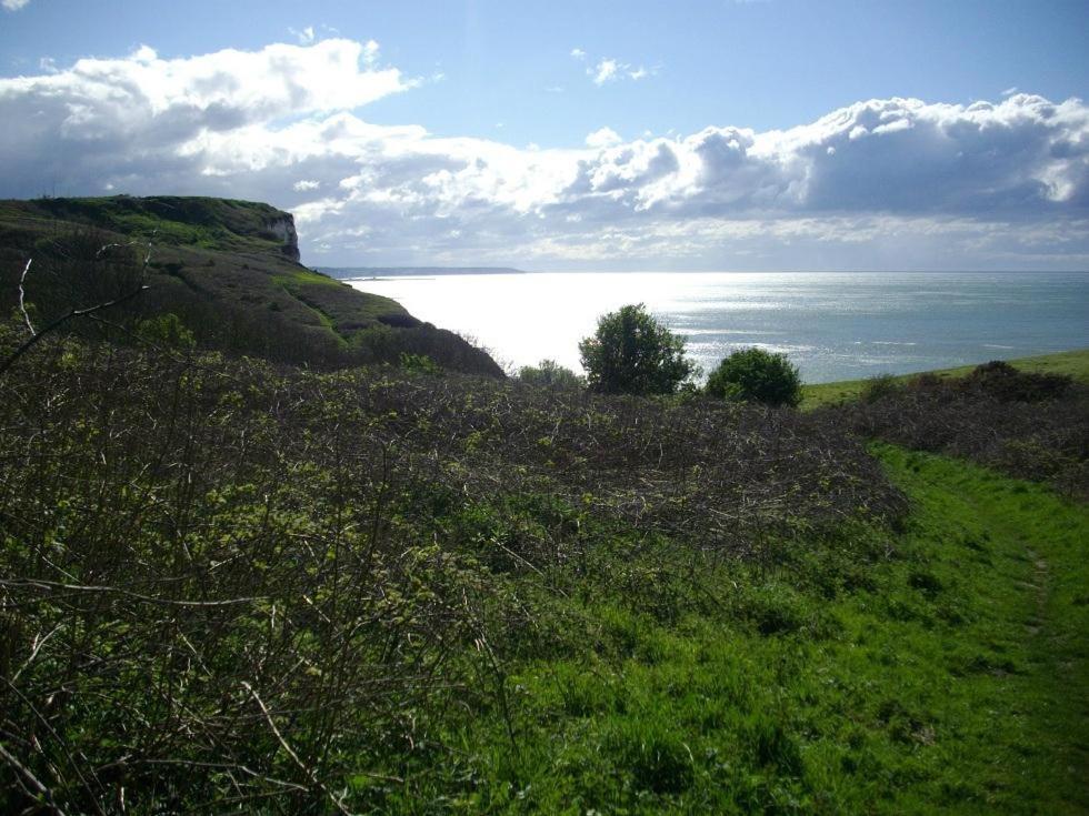Villa Les Falaises Berneval-le-Grand Exterior foto